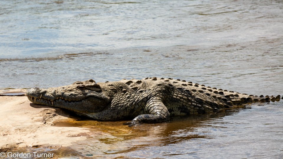 <h2>The Best of South Africa Escorted 2023</h2> 14 Nights | 6 Rounds | March 11 - 25